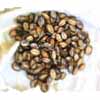 Tiger Shells Brown Cowry Shells