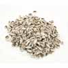 Kenyan Cowry Shells Cut 1 kilo